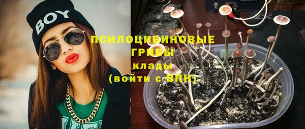 СК Покров